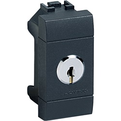 Deviatore 1P 16A 16AX 250Vac a chiave estraibile antracite per uso living int