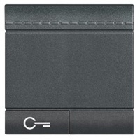 Copritasto illuminabile 2 moduli con simbolo chiave antracite per quadro elettrico