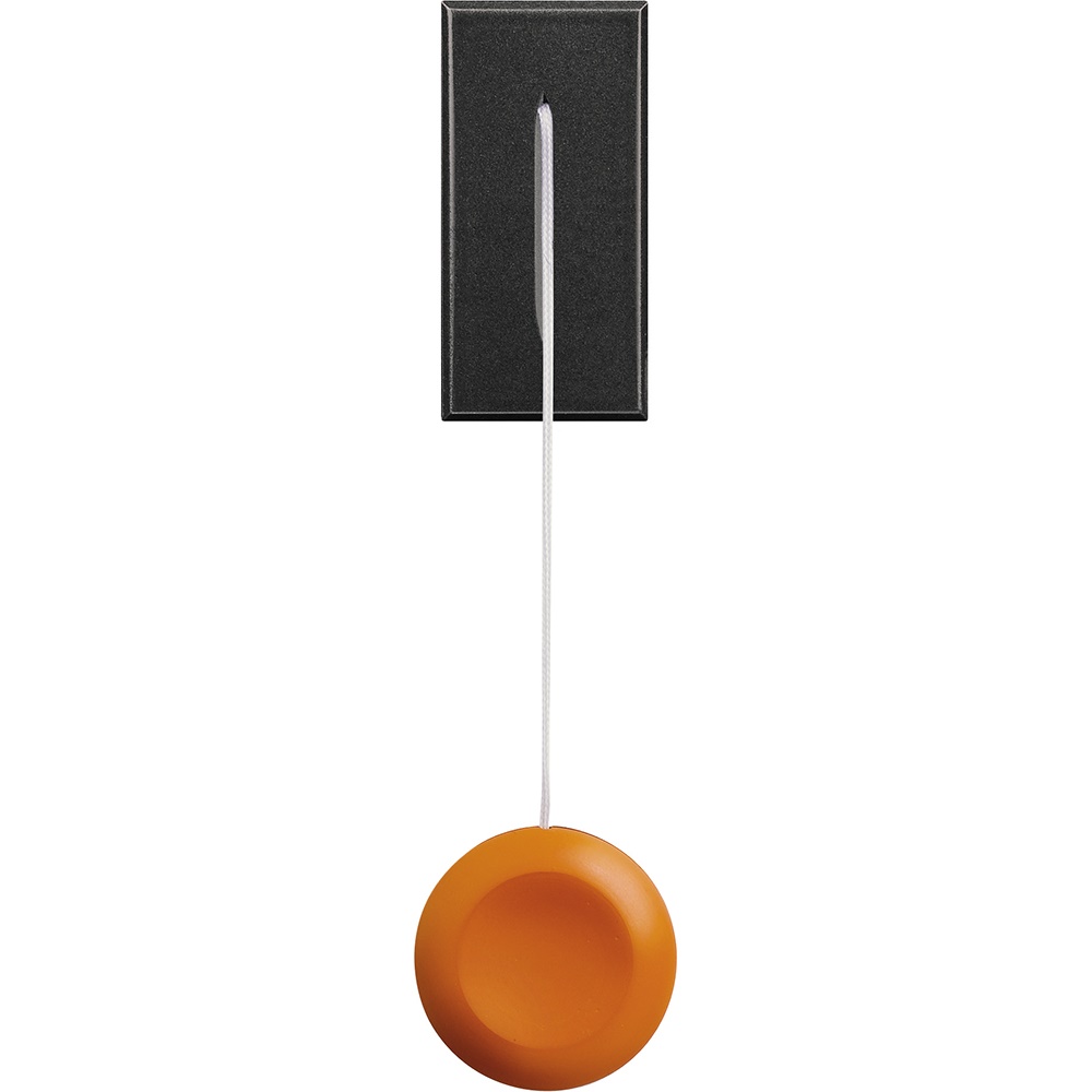Pulsante tirante 1 polo NO 10A 230V per allarme bagno modulo singolo scuro Axolute