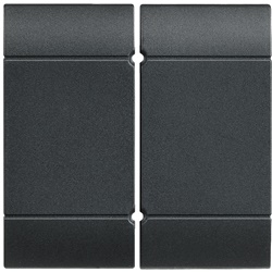 Copritasti 1 modulo antracite per rivelatore allagamento L/N/NT4619 living int