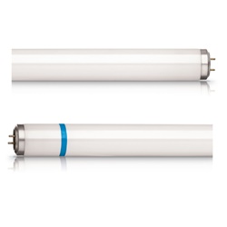 ACTINIC BL TL-D 18W/10 SECURA 1SL/2