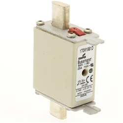 170M1561D FUSE 25A 690V GR DIN 000
