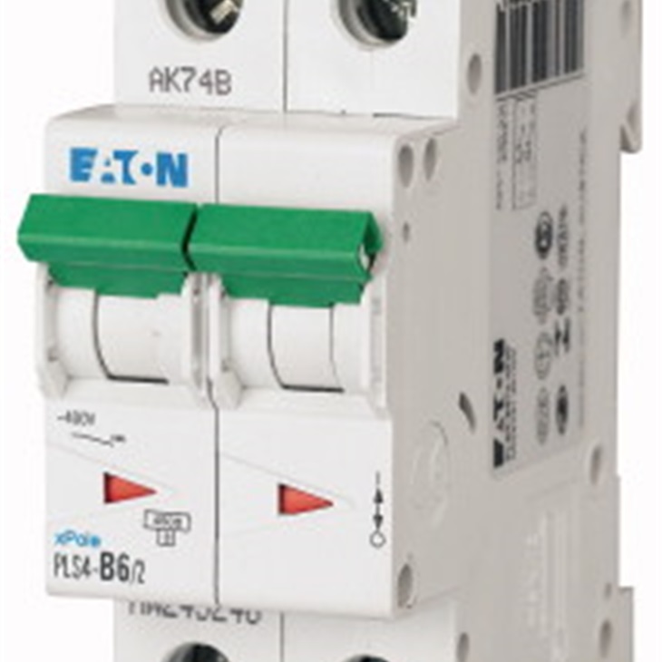 PLS4-B6/2 INT. MT 4,5KA 2P B 6A