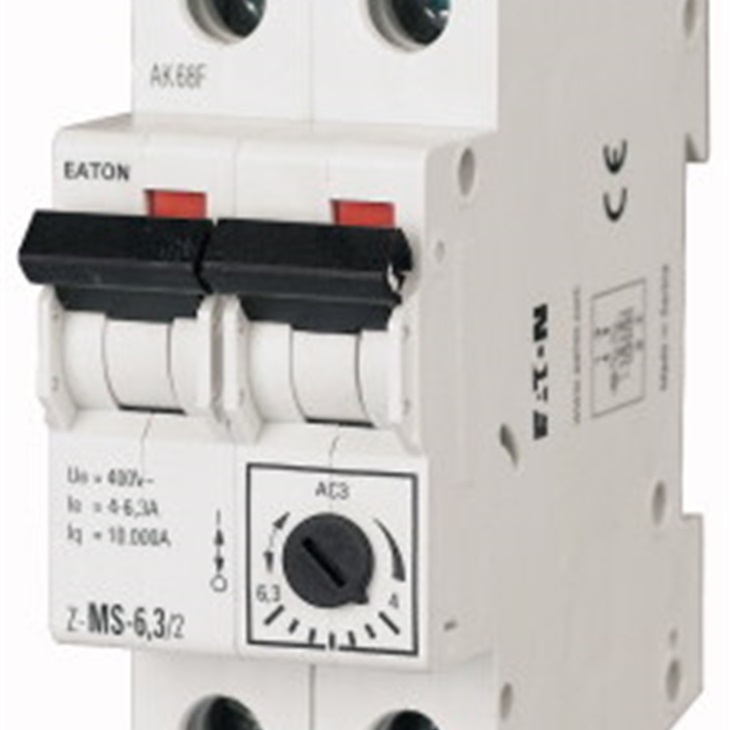 Z-MS-10/2 SALVAMOTORIE 2POLI 6,30-1