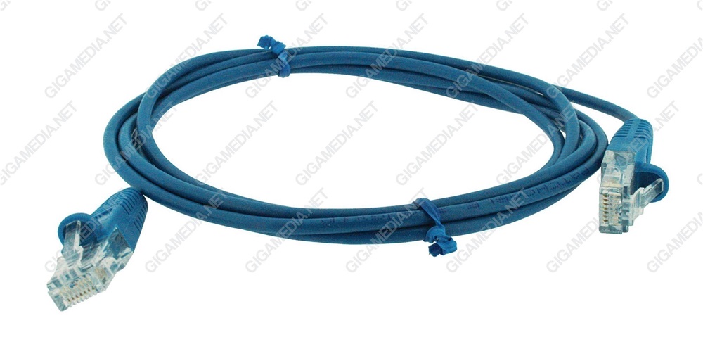 Lotto di 5 Patch cord RJ45 1 coppia Blu (4,5) 1 m