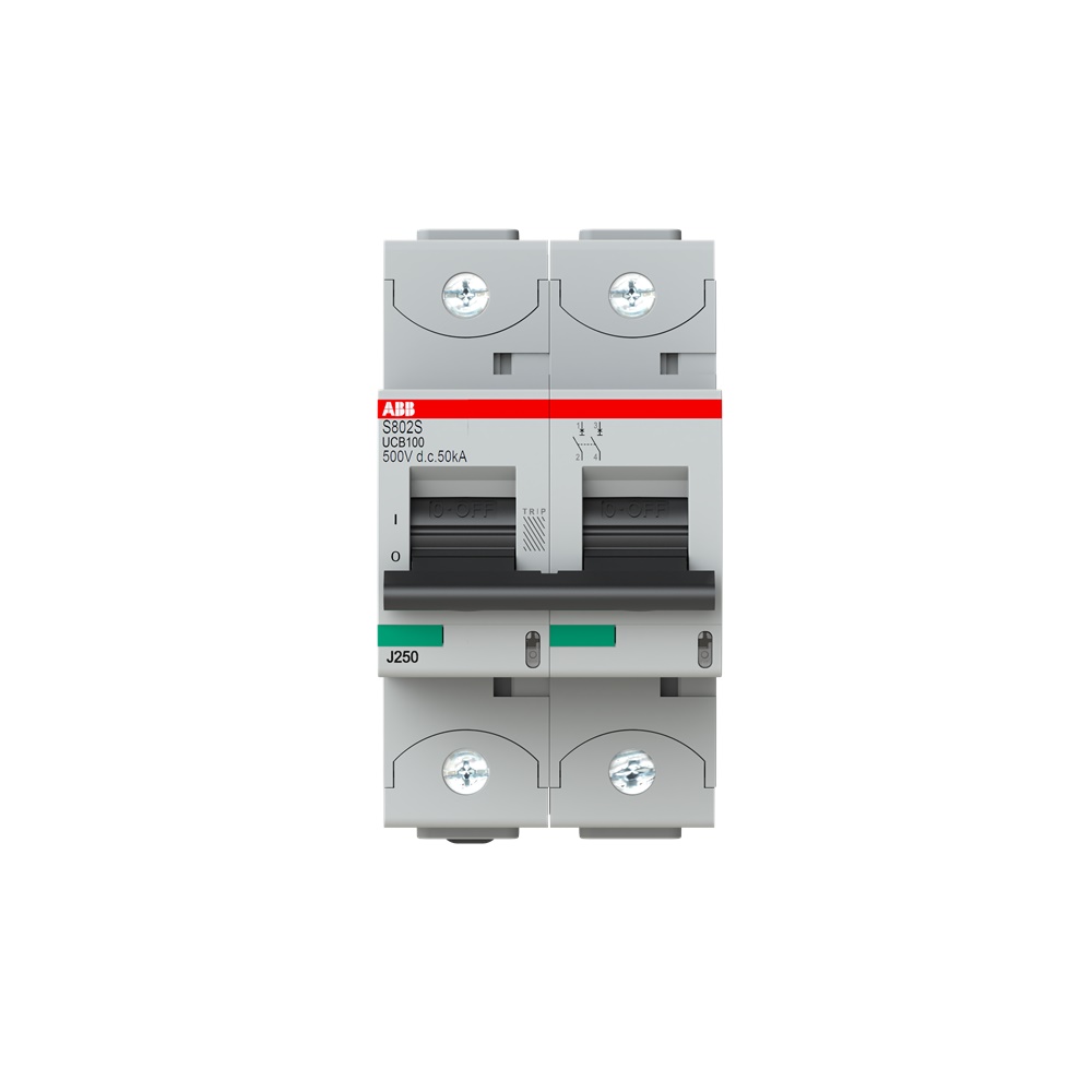 Interruttore Automatico Miniaturizzato 2 Poli 100A B Caratteristica 50kA 250VDC alta prestazione