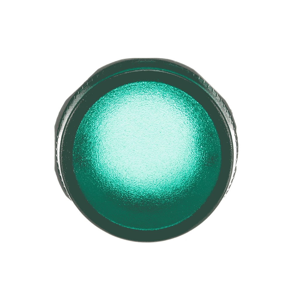 Spia Pilota ML1-100G Verde Illuminata Modular Plastica Alta Durata Industriale