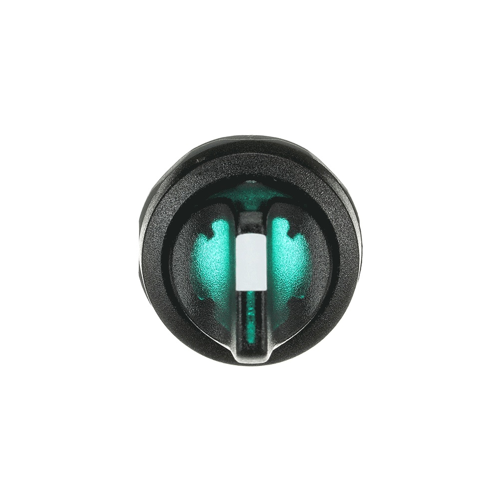 Interruttore selettore 2 posizioni verde illuminato plastica nera per controllo elettrico professionale