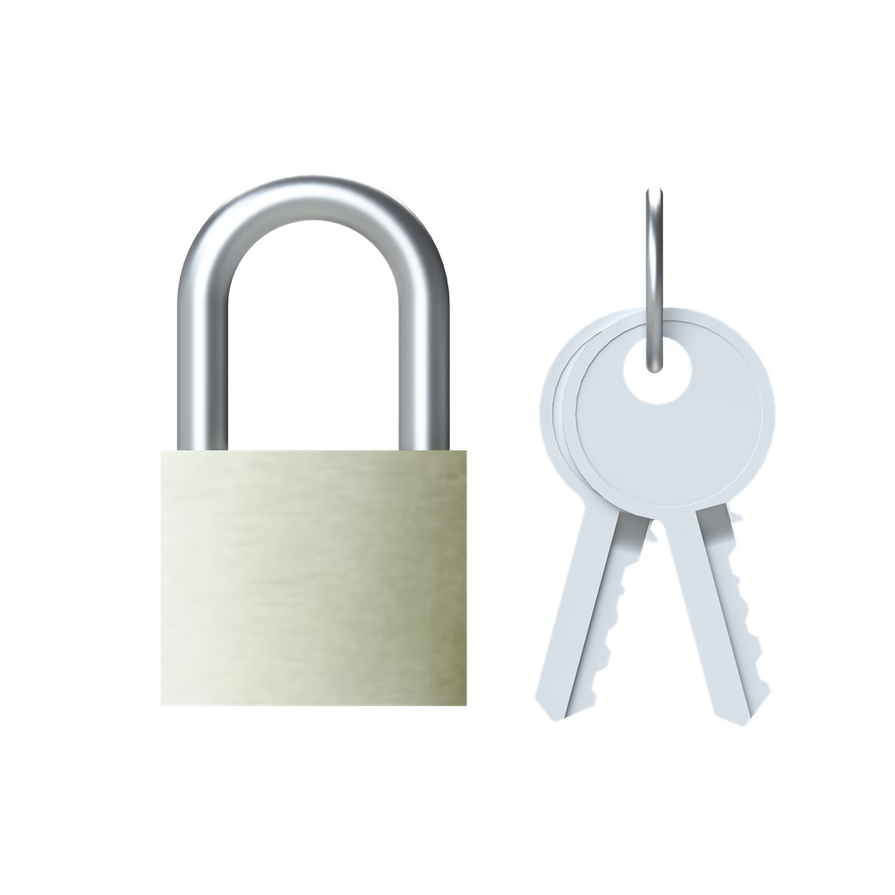 Lucchetto SA 2 con 2 chiavi set sicurezza applicazioni generiche