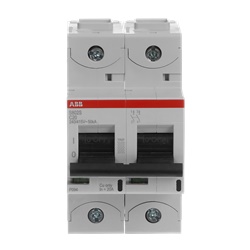 Interruttore automatico bipolare 20A C20 alta prestazione uso residenziale industriale