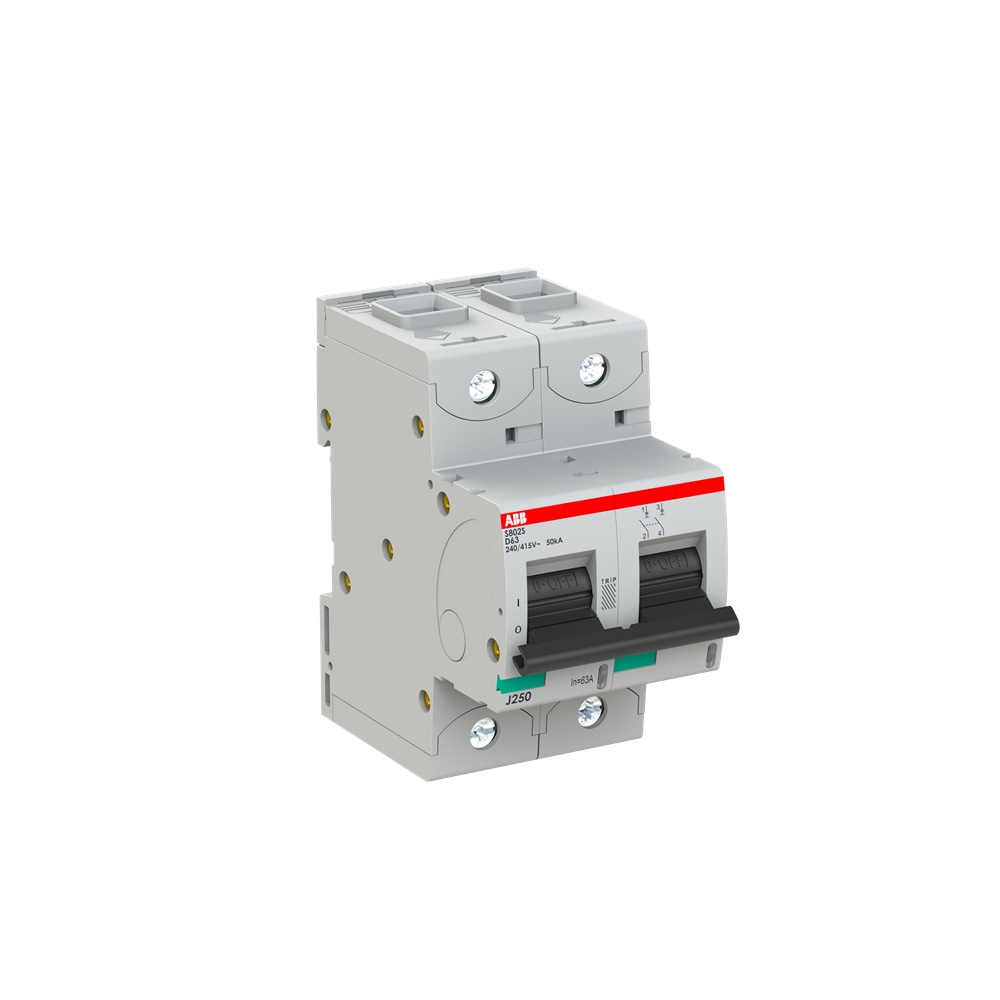 Interruttore automatico 2 poli 63A D-Dharacteristic protezione sovraccarico cortocircuito uso residenziale industriale
