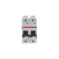 Interruttore automatico 2 poli C25 25A limitatore corrente 36kA uso residenziale commerciale industriale
