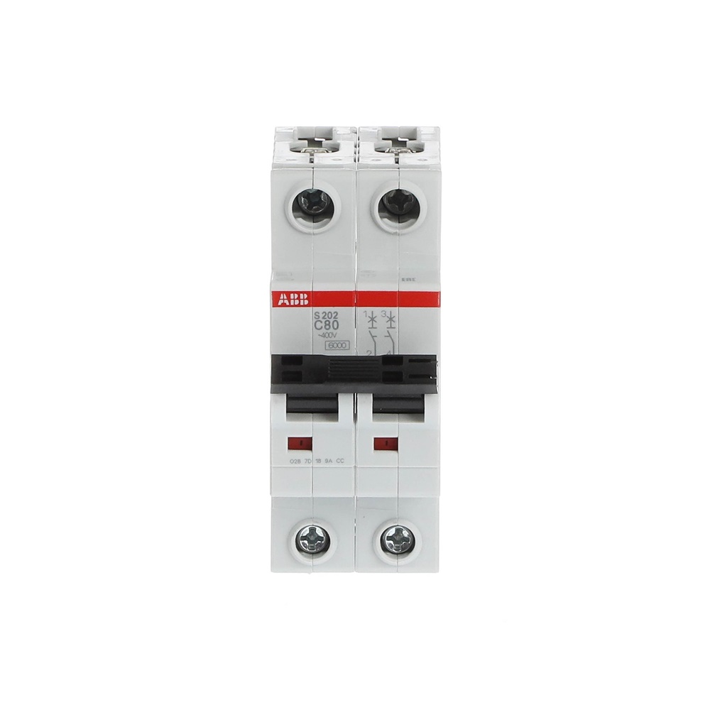 Interruttore Automatico Miniature S202-C80 2P 80A Curva C 6kA AC