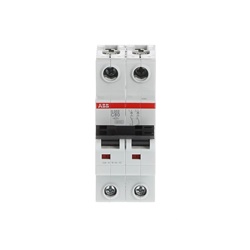 Interruttore Automatico Miniature S202-C80 2P 80A Curva C 6kA AC