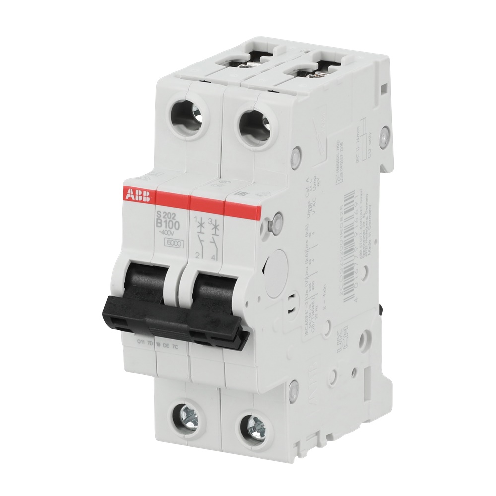Interruttore Automatico Miniatura S200 2P 100A B-Char 6kA per Impianti Elettrici