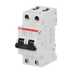 Interruttore Automatico Miniatura S200 2P 100A B-Char 6kA per Impianti Elettrici