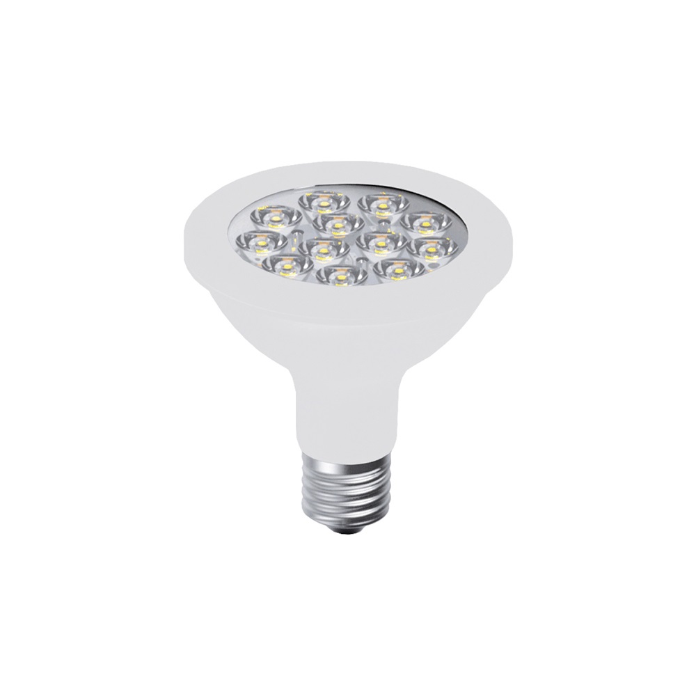 LAMPADINA PAR 30 LED