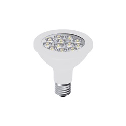 LAMPADINA PAR 30 LED