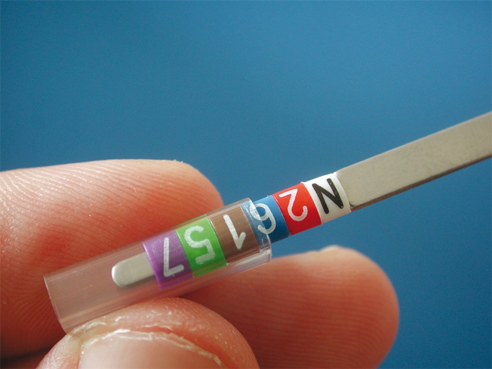 ELEMENTO DI SIGL.PMP-30 - NERO - SI