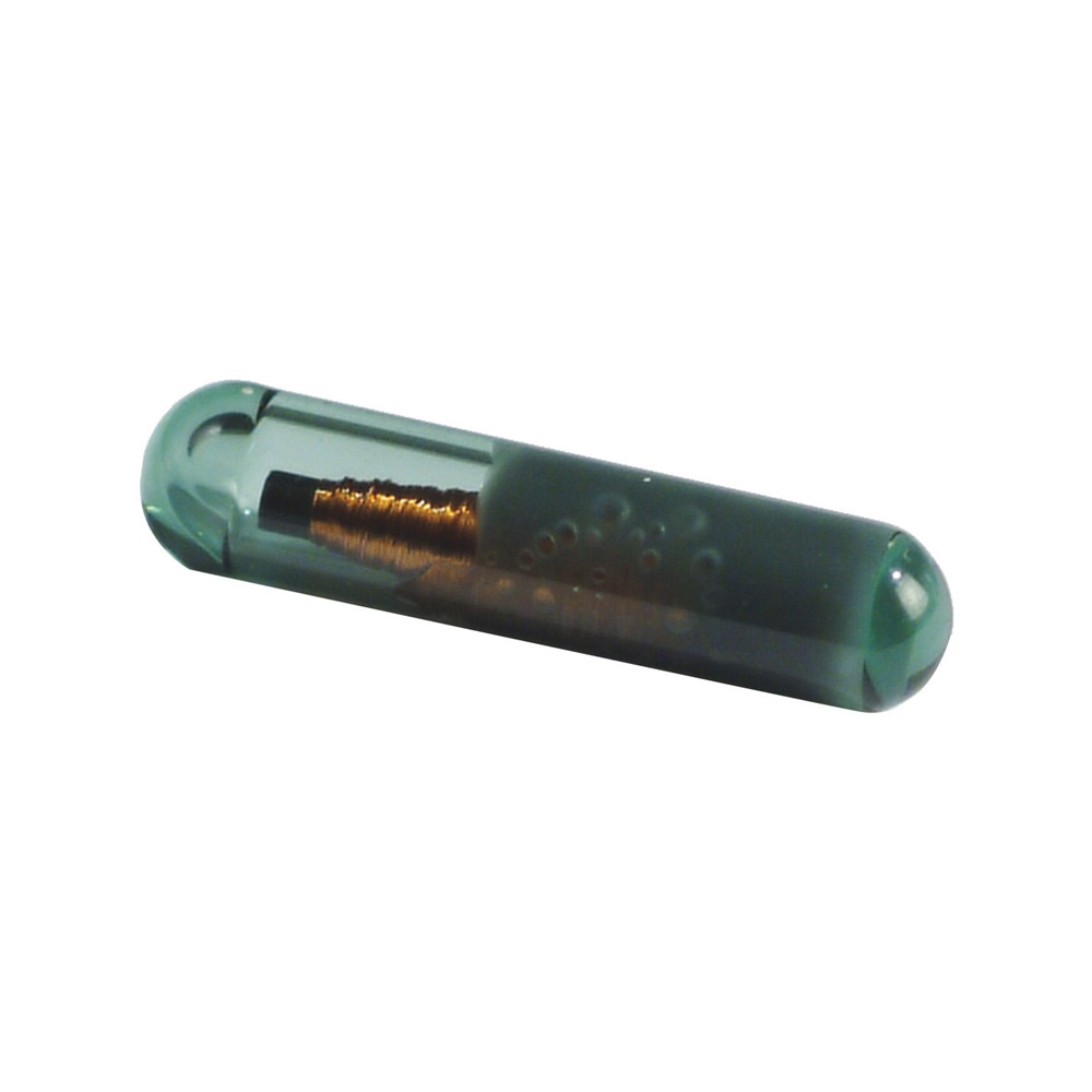 BULBO TRANSPONDER IN VETRO PER TSP0