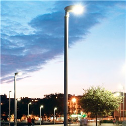 Palo acciaio 1418 altezza 8800mm colore grafite per illuminazione esterna LED