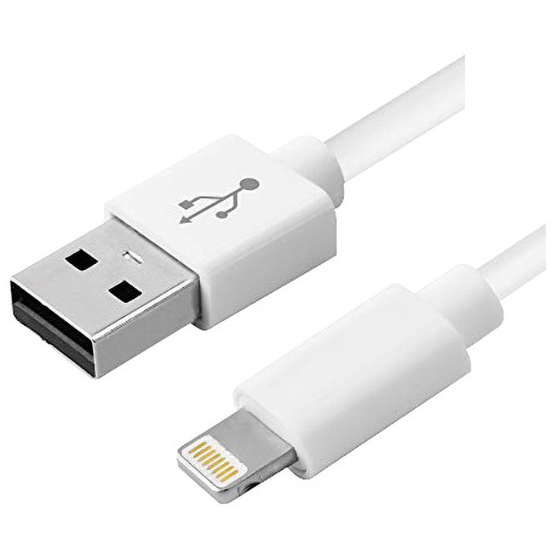 Cavo USB Apple Lightning certificato MFi ricarica rapida trasmissione dati efficiente uso domestico e professionale