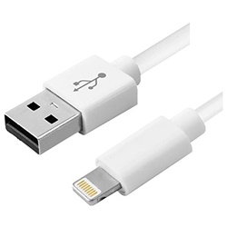 Cavo USB Apple Lightning certificato MFi ricarica rapida trasmissione dati efficiente uso domestico e professionale