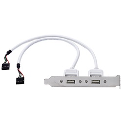 Espansione due porte USB cavo 0,3m connettori alta qualità per impianti elettrici e dispositivi elettronici