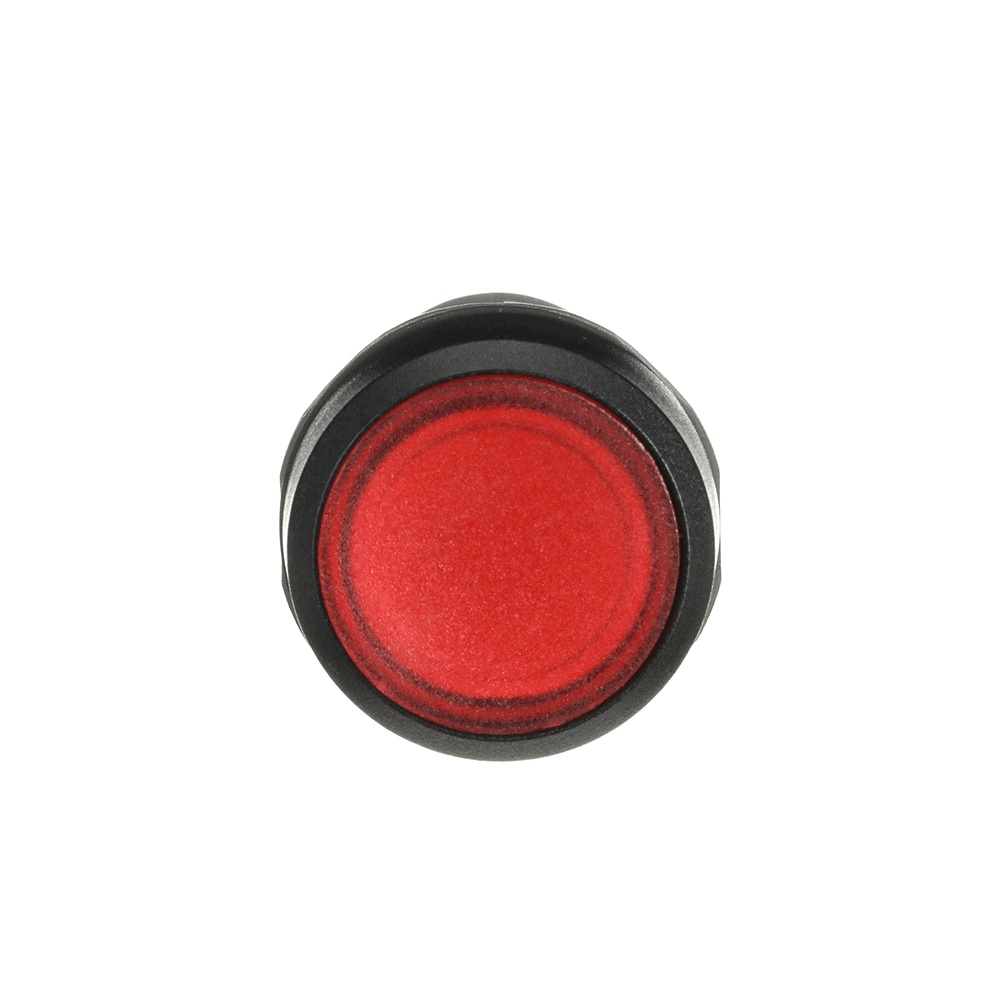 Pulsante compatto illuminato rosso 1NO 24V per controllo circuiti elettrici professionali