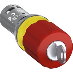 Interruttore emergenza monoblocco chiave mantenuto 30mm rosso 2NC 24-300V industriale e civile