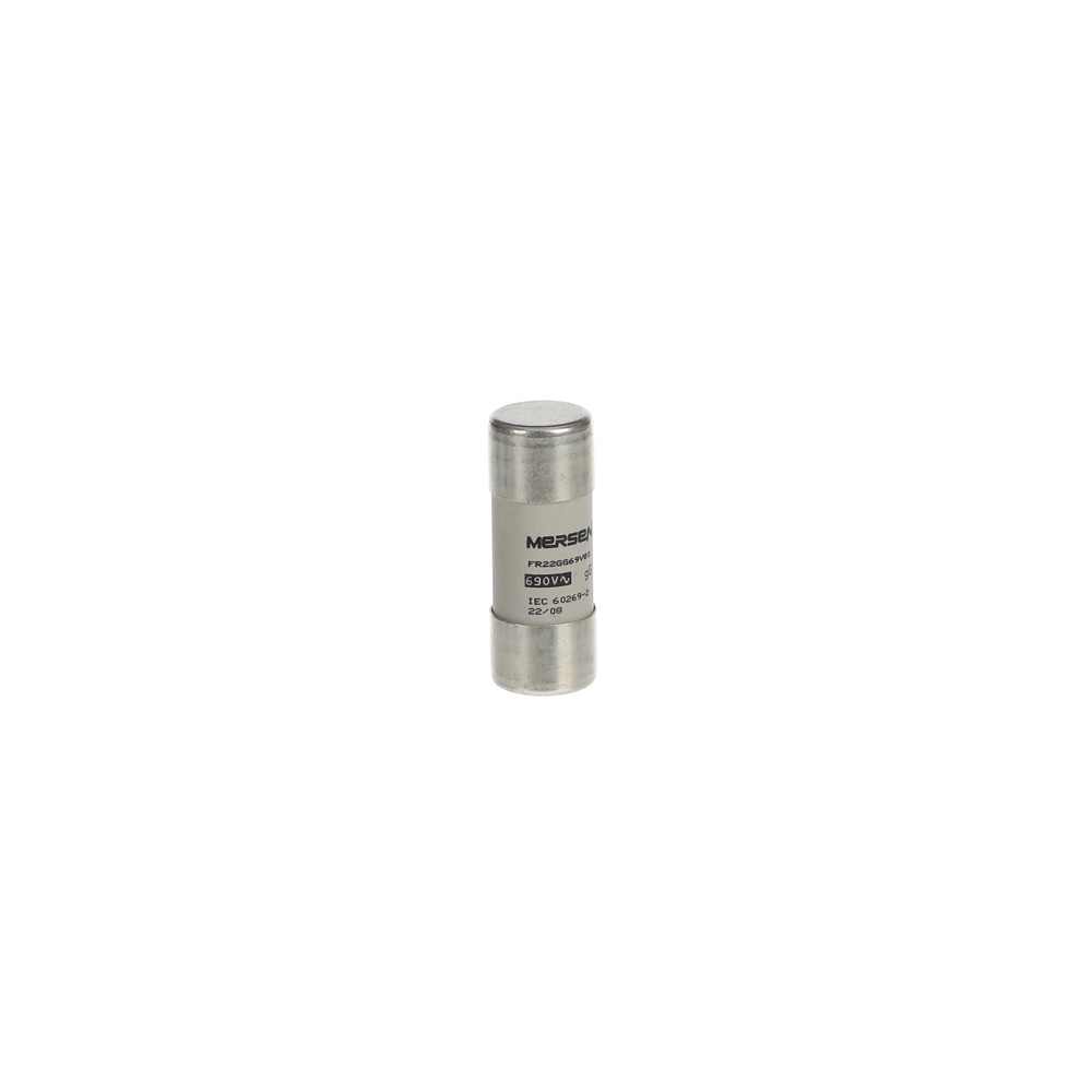 Fusibile tipo GG 22x58 mm 80A protezione circuiti industriali e residenziali