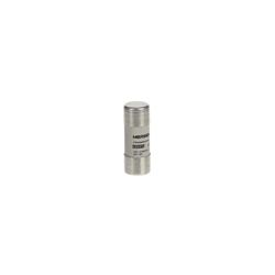 Fusibile tipo GG 22x58 mm 80A protezione circuiti industriali e residenziali