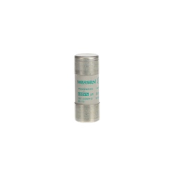 Fusibile cilindrico AM 22x58 mm 80A protezione motori impianti elettrici industriali e civili