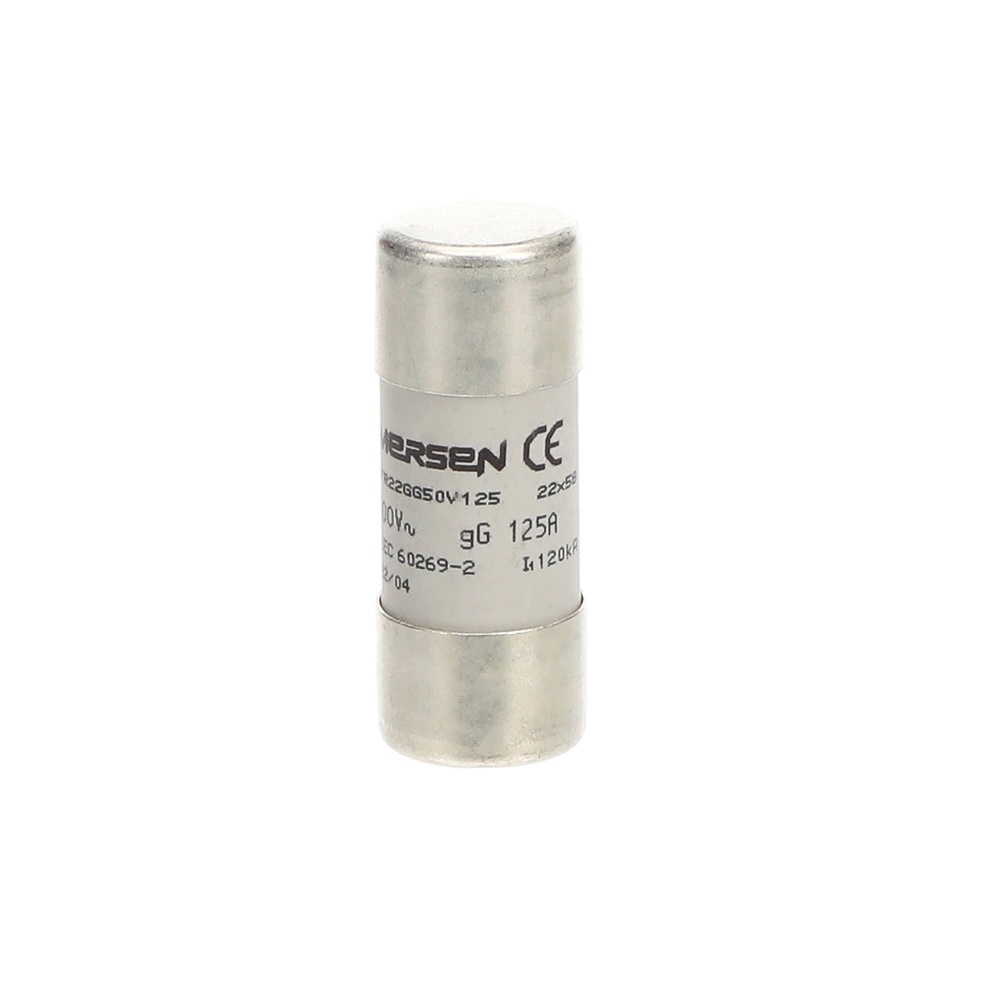 Fusibile GG 22x58 mm 125A protezione circuiti elettrici industriali e civili