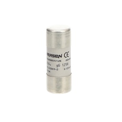 Fusibile GG 22x58 mm 125A protezione circuiti elettrici industriali e civili