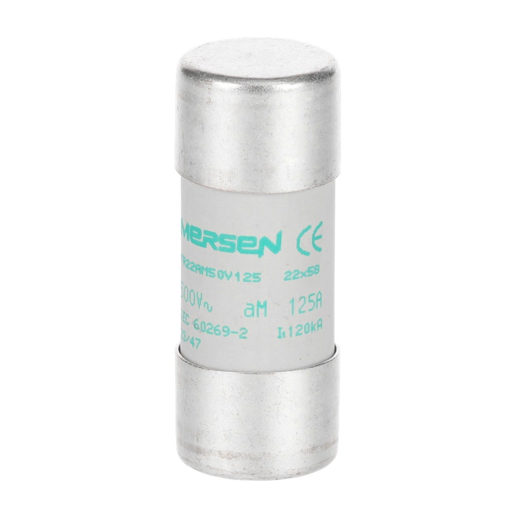 Fusibile AM 22x58 mm 125 A protezione motori circuiti elettrici industriali