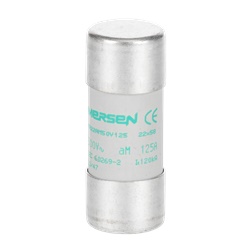 Fusibile AM 22x58 mm 125 A protezione motori circuiti elettrici industriali