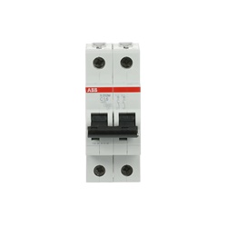 Interruttore Automatico Miniature Circuit Breaker S200M 2P 1,6A C 10kA uso residenziale industriale