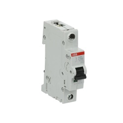 Interruttore Automatico Miniatura S201-C100 1P 100A Curva C 6kA AC