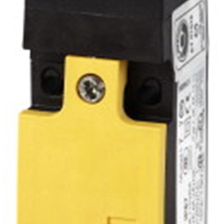 LS-S11S-ZB INTERR. POSIZIONE DI SIC