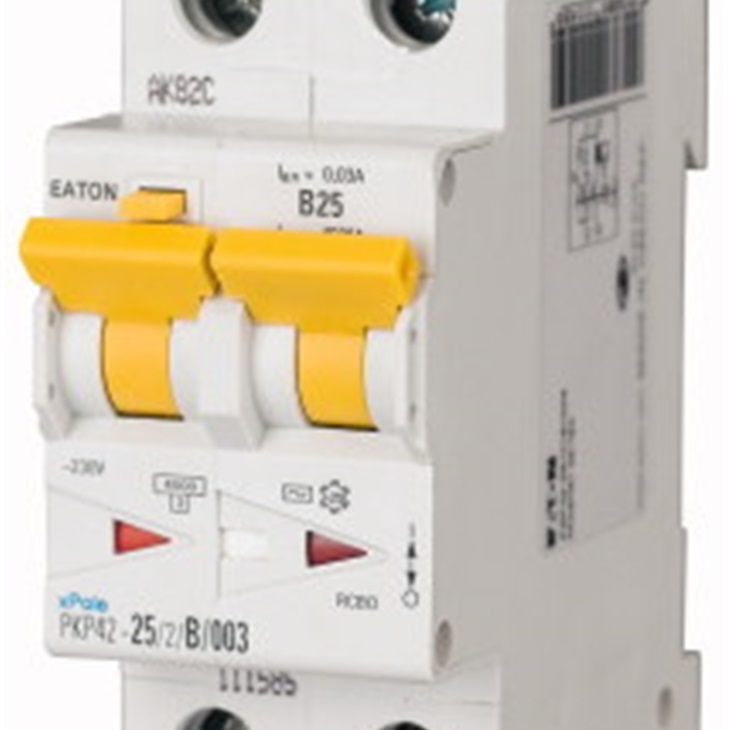 PKP42-6/2/C/003 MTD2P 6A C0,03-AC 4