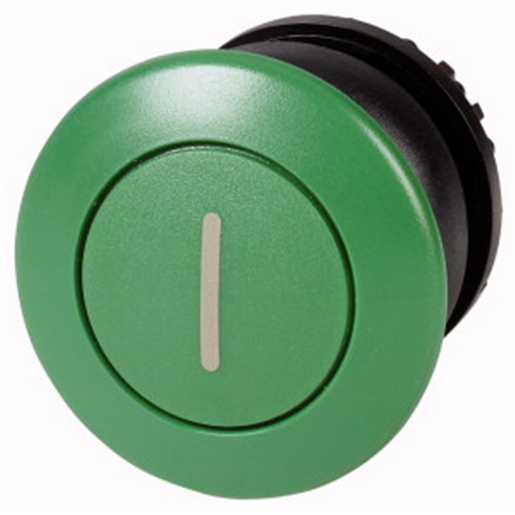M22S-DP-G-X1 FUNGO CON SIMB. IMP. V