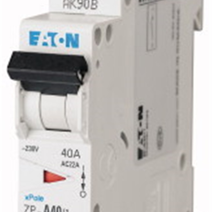 ZP-A40/1 INTERRUTTORE NON AUTOMATIC