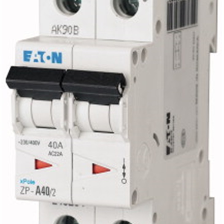 ZP-A40/2 INTERRUTTORE NON AUTOMATIC