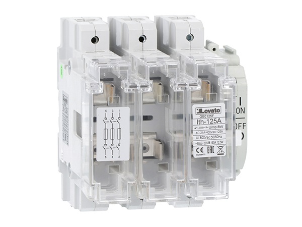 SEZION.3P CON PORTAF.NFC22X58 AC21A 125A