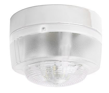 LAMP CONV. ROSSO LED ROSSO IP65