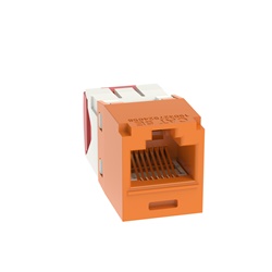MODULO UNIVERSALE CATEGORIA 5, 8 PO