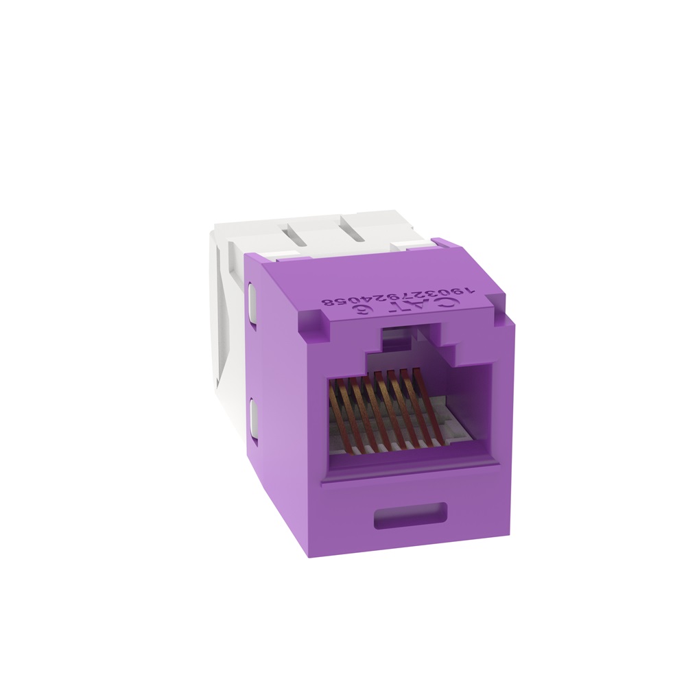 PRESA MINICOM RJ45 UTP CAT. 6 VIOLA