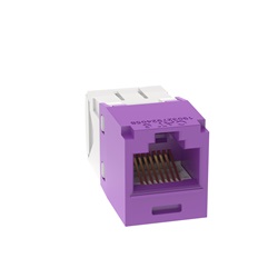 PRESA MINICOM RJ45 UTP CAT. 6 VIOLA