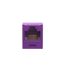 PRESA MINICOM RJ45 UTP CAT. 6 VIOLA
